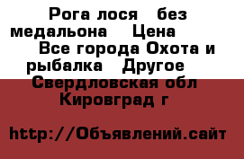 Рога лося , без медальона. › Цена ­ 15 000 - Все города Охота и рыбалка » Другое   . Свердловская обл.,Кировград г.